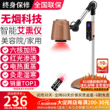 鸿益德 艾灸家用仪器一体机语音无烟熏蒸仪美容院养生理疗艾炙灯烤电仪 深咖升级款-六核加热+红光渗透XJAY18