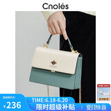 蔻一（Cnoles）包包女士款2025年最新款牛皮女生高端斜挎包通勤大容量单肩包