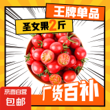 广西新鲜采摘圣女果樱桃小番茄 带箱2斤精选果