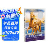 纽伯瑞大奖少年小说：辛可提岛的迷雾  3-6岁（启发出品）