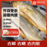 1号会员店【山姆同厂】冷冻宁德三去大黄鱼 黄花鱼 净重700g/2条装 水产鱼