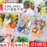 威尔基干花材料手工diy制作松果材料包永生花装饰真干果树叶天然植物叶 混色干花花材盒【随机一盒装】