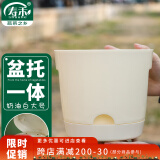 寿禾 花盆塑料盆带托树脂大号种植盆 潍育奶油白花盆大号20#
