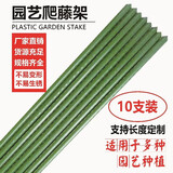 植物爬藤架黄瓜豆角西红柿架植物支撑杆园艺花架葡萄庭院户外 直径11mm长度90cm【10支】