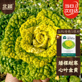 北蔬 黄心菜种子苗耐寒菜黄心玫瑰乌塌菜蔬菜籽 皇欣1号黄心菜种子20g