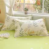 云瑾纯棉枕套一对装2只 全棉印花枕头套 单人双人居家枕芯套 花草相依 一对装/成人48*74cm