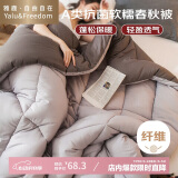 雅鹿·自由自在A类被子抗菌春秋冬季棉被芯单双人宿舍学生5斤150x200cm 古典灰