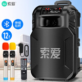 索爱（soaiy）12吋广场舞音响大功率便携式户外重低音蓝牙k歌专用大音量移动拉杆音箱室外演出设备双话筒SA-T25