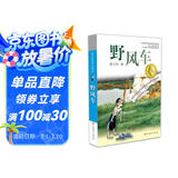 曹文轩纯美小说：野风车/国际安徒生奖得主曹文轩中短篇小说集代表作，关注少年儿童幽微而丰富的心灵世界，广受赞誉。