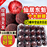 秒时鲜【顺丰】浙江仙居东魁杨梅皇特大果礼盒当季杨梅新鲜水果仙居杨梅 复购高|大果12A100颗礼盒