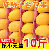 尔蝶海南小台农芒果10斤新鲜小台芒当季热带水果现摘甜心小芒果整箱 精选大果 单果90-120g-热卖爆甜 精选9斤装 净重8.5斤