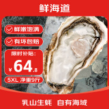 鲜海道【活鲜】鲜海道生蚝  乳山牡蛎 新鲜海蛎子生鲜贝类 店铺热销5XL号带箱10斤(16-20)只