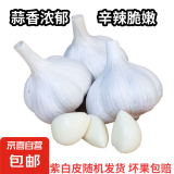紫白皮蒜水果大蒜小龙虾三文鱼烧烤调料超市即食蔬菜大蒜 特价净重 1斤 单果3.5-5cm