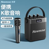 纽曼（Newmine）K519蓝牙音响家用k歌音箱大功率带麦克风hifi高音质无线户外手提便携式喇叭移动实用礼物超长续航