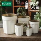 奥美优自吸水懒人花盆加厚种绿植阳台蝴蝶兰花器水培热带绿植专用盆16#