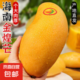 海南三亚新鲜水果 金煌芒果应当季生鲜 带箱4斤 大果【单果300-400g】