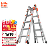 雷都捷特（LittleGiant） 家用/工程梯子铝合金伸缩人字梯直梯 折叠多功能登高梯15422-001