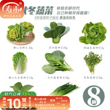寿禾 大叶小叶菠菜种子大全波菜种蔬莱耐寒蔬菜四季播寿光夏秋菜籽 8种秋冬蔬菜种子套装