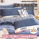 艾薇牛奶绒枕套法兰绒加厚保暖枕头套一对 清风韵律 48*74cm