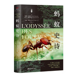 蚂蚁史诗