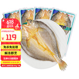 三都港背开三去黄花鱼300g/条宁德特产免杀大黄鱼生鲜冷冻海鲜烧烤夜宵 背开三去黄花鱼300g*4条