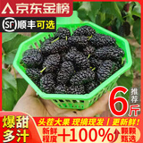 鲜级佳 新鲜桑葚鲜果现摘6斤【闪送-多地次日达】桑椹果酱免洗水果泡酒 【聚划算-尝鲜装】2斤新鲜桑葚 精选装【80%客户选择-超划算】