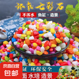 鱼缸水族天然鹅卵石彩色石子 底部造景砂石底砂盆栽铺面石头 五彩石【1000g】1袋