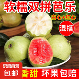 广西软心白心奶油芭乐 老果树 软糯香甜番石榴果园现摘 送酸梅粉 【软糯双拼】3斤