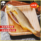 黄小渔宁德三去黄花鱼600g/4条大黄鱼生鲜海鲜水产深海鱼类夜宵烧烤食材