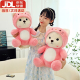 爱迪童变身熊玩偶毛绒玩具可爱小泰迪娃娃草莓小熊公仔送生日新年礼物女 变身KT猫35cm 新年情人节礼物