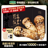 华田禾邦香格里拉新鲜松茸1斤 出口级精选7-9CM 礼盒高端云南特产源头直发