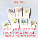 香微（XIANGWEI）送妈妈生日礼物实用40母亲婆婆50岁60长辈女士手提包包女包2025年 【代写贺卡】请拍这个 【康乃馨刺绣，长辈喜欢的礼物】