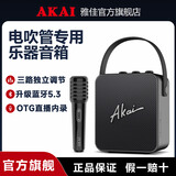 AKAI雅佳AK11大音量音响乐器专用电吹管萨克斯二胡无线大喇叭扩音器户外音箱 电吹管专用音响