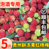 鲜美惊 【泡酒专用】5斤贵州新鲜鲜冻青红杨梅野生杨梅泡酒专用鲜冻速发 5斤【泡酒专用】