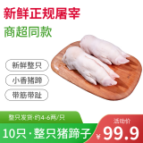 美人觉醒纯肋排新鲜 猪寸排 猪排骨冷冻土猪排骨黑猪肉  猪蹄猪肝生鲜猪肉 带筋猪蹄 10只（4-6两/只）