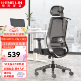 恒林 玄星人体工学椅家用电脑椅午休可躺椅舒适久办公转椅HLC-2788 经典款双层腰靠+升降扶手+无搁脚 90-120度(含)