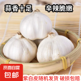 【百万单爆品】紫白皮蒜水果大蒜超市生鲜蔬菜调料即食蒜 【优选】 1斤 单果3.5-5cm