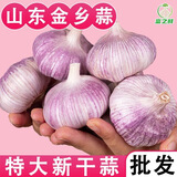【超低价】优质批发大蒜头干蒜紫皮大蒜头干蒜特大新鲜大蒜子包邮 山东新大蒜吃面必备【小果】 1500g