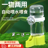 智宙 鹦鹉自动喂食器鸟用饮水器芦丁鸡专用喝水器虎皮小鸡玄风八哥碗 两个装【喂食＋喂水】 绿色【两个装】