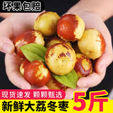岽鲜陕西大荔冬枣新鲜冬枣 当季新鲜水果鲜枣 儿童孕妇水果脆甜枣子 优质中果 净重5斤