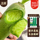 北蔬 潍坊水果萝卜种子苗夏秋季青罗卜蔬菜种籽 潍县青萝卜种子10g