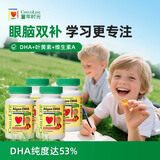 ChildLife童年时光婴幼儿藻油dha0防腐儿童学生补脑dha 60粒/瓶【4瓶】