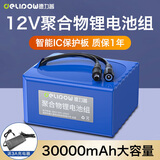 德力普（Delipow）12v锂电池大容量锂离子聚合物锂电池组带显示屏移动电源太阳能灯音响监控设备24V可充电方形电池 12V 30000毫安【送3A充电器】