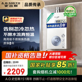 史密斯（A.O.SMITH）佳尼特16升精钢燃气热水器 国家补贴 不锈钢换热器包8年  恒温大水量  抗风防冻 JSQ31-TC1