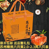【活蟹】阳澄佳缘大闸蟹 现货鲜活大螃蟹全母 海鲜水产生鲜礼盒装 【精选】六月黄2.0-2.3两八只装