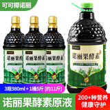 可可椰诺丽3年发酵 纯诺丽果汁酵素原液2500ML大容量海南诺尼果蔬孝素膳食品 3瓶980ML+1桶5斤（约11斤