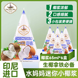 水妈妈椰浆65ml*6包 印尼进口 浓缩椰汁椰奶 西米露水果捞甜品 生椰拿铁