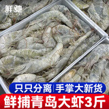 鲜驰 虾 国产青岛大虾 青虾白虾海虾基围虾冷冻生鲜 虾类 海鲜水产 气冻大虾 3斤(净重)  15-18cm【单只冻 特大虾】