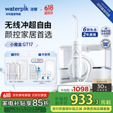 洁碧（Waterpik）冲牙器家用台式洗牙器水牙线洁牙器家用预防牙结石小魔盒GT17-12白礼物 生日礼物