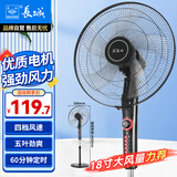 长城（CHANGCHENG）电风扇落地扇18吋五叶风扇摇头商务电扇居家办公立式风扇大功率大风量工业扇交流定频风扇FS-45
